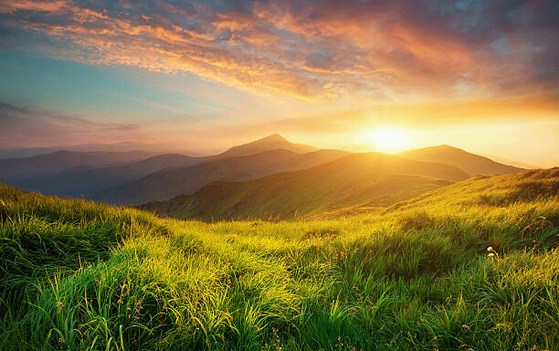 310770006-baa49d9c-1489-4103-83f2-d095847398f8