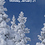 ezed413