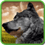 SinglWolf